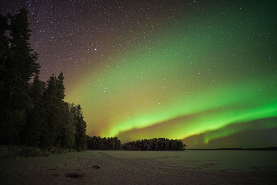 Rovaniemi: Night Sky lappish Barbecue - Who Should Consider This Tour?