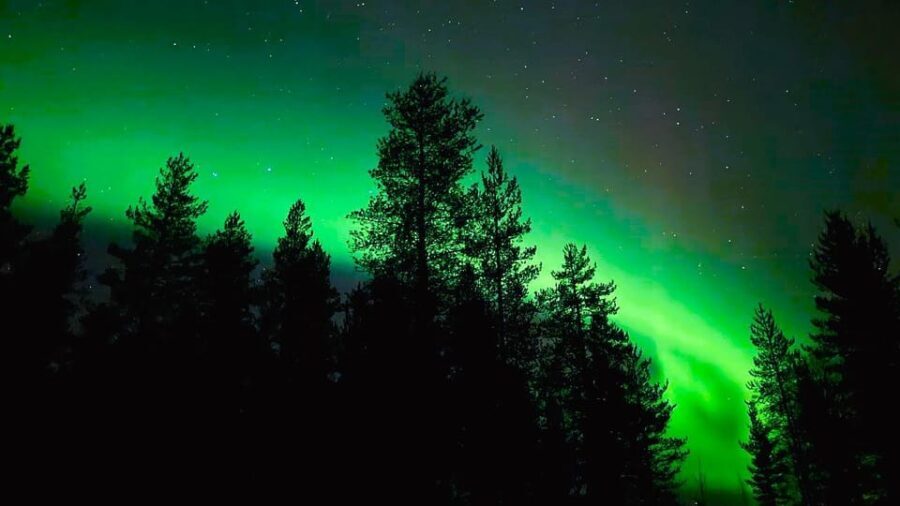 Rovaniemi: Night Tour in Search of the Aurora with BBQ - The Sum Up