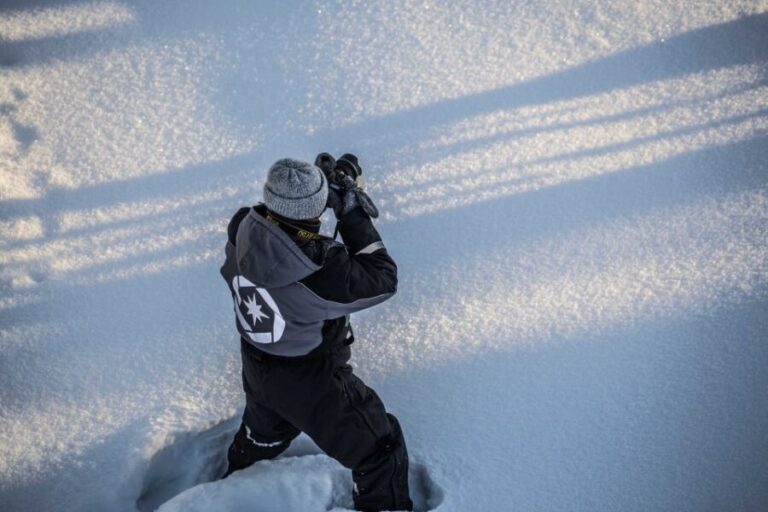 Rovaniemi: Nordic Forest Wilderness Adventure - Is This Tour Worth It?