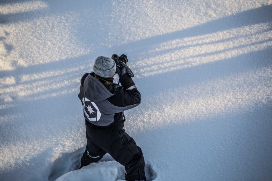 Rovaniemi: Nordic Forest Wilderness Adventure - Is This Tour Worth It?