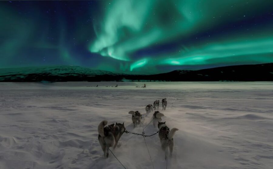 Rovaniemi: Northern Lights and Husky Sleigh Ride - The Value of the Experience
