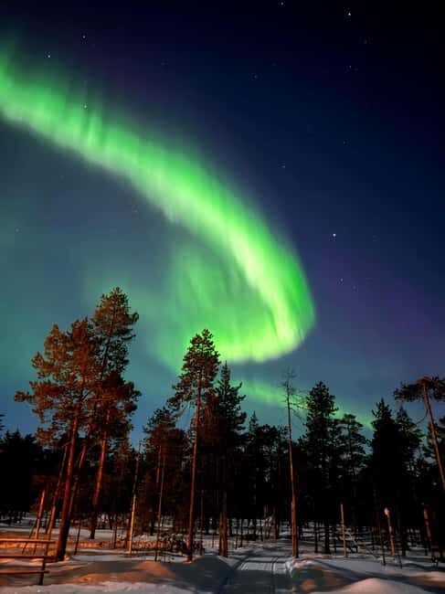 Rovaniemi: Northern Lights & Reindeer Experience - What’s Included and What to Bring