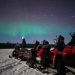 Rovaniemi: Northern Lights Sleigh Ride - How Does It Rank for Value?