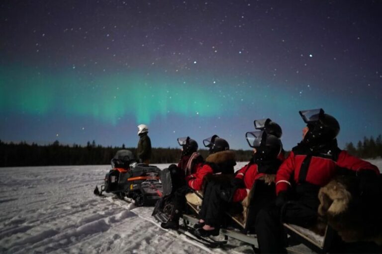 Rovaniemi: Northern Lights Sleigh Ride - How Does It Rank for Value?