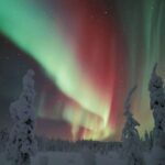 Rovaniemi: Northern Lights Snowmobile Safari with Campfire - Authentic Insights from Reviewers