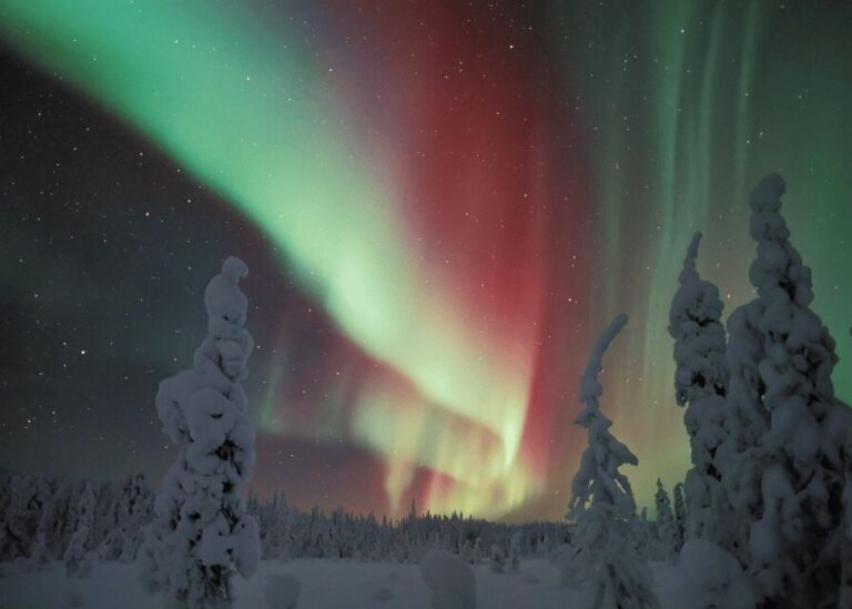 Rovaniemi: Northern Lights Snowmobile Safari with Campfire - Authentic Insights from Reviewers