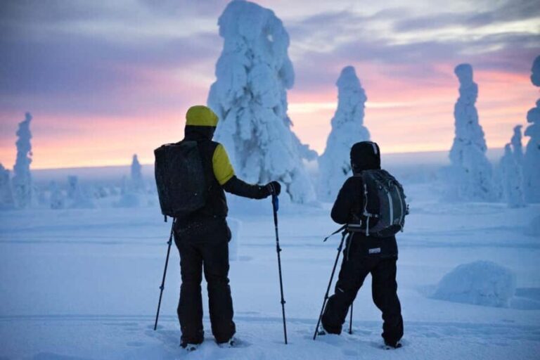 Rovaniemi: Private 3h Snowshoeing hike - Practical Tips for Your Snowshoeing Adventure