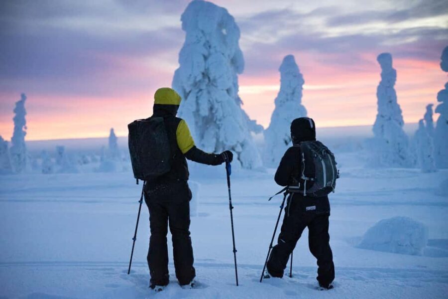 Rovaniemi: Private 3h Snowshoeing hike - Practical Tips for Your Snowshoeing Adventure