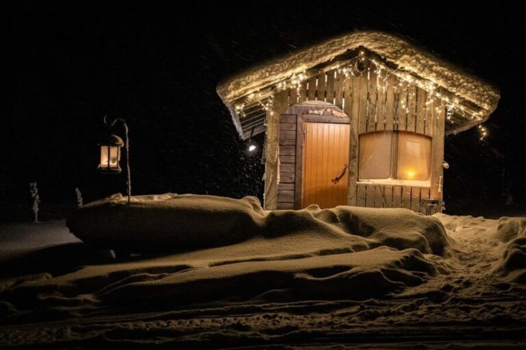 Rovaniemi: Private Sauna and Ice Swimming Tour with Snacks - The Sum Up