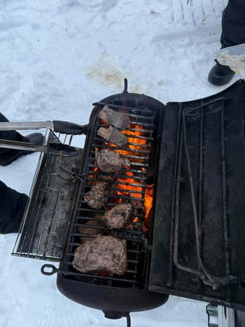 Rovaniemi: Private Snowmobile Trip With Local Guide - Why This Tour Offers Good Value