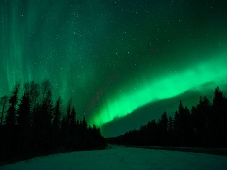 Rovaniemi: Private Tour with Guaranteed Northern Lights - Practical Details & Tips