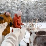 Rovaniemi: Reindeer Farm Visit and Sleigh Ride with transfer - What Makes This Tour Stand Out?