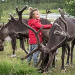 Rovaniemi: Reindeer Farm Visit at Autumn - Learning About the Lappish Lifestyle