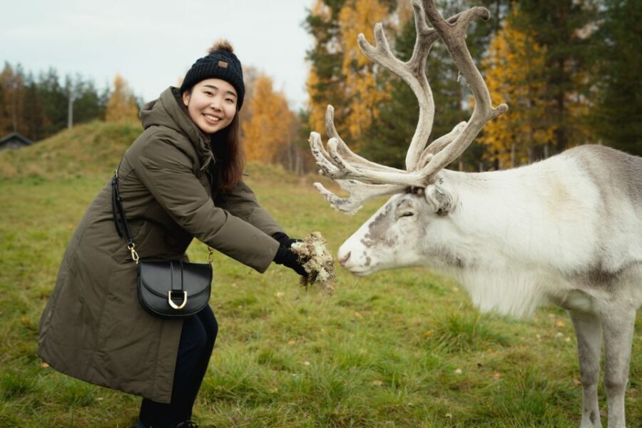 Rovaniemi: Reindeer Farm Visit with Photographer - The Sum Up