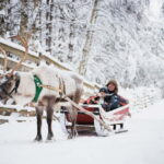 Rovaniemi: Reindeer, Huskies & Santa Claus Village - Authenticity, Value, and Family-Friendly Fun