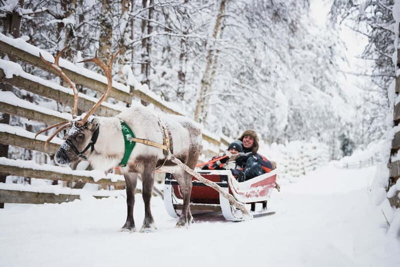 Rovaniemi: Reindeer, Huskies & Santa Claus Village - Authenticity, Value, and Family-Friendly Fun