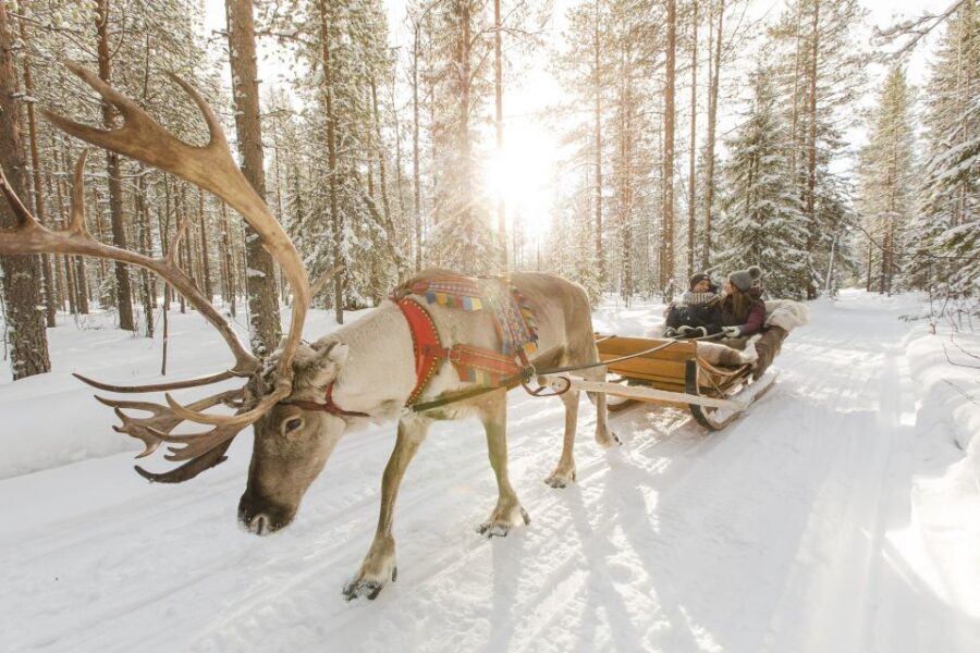 Rovaniemi: Reindeer, Huskies, Santa's Pets & Aurora Hunt - Who Is This Tour Best For?