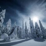Rovaniemi: Reindeer Safari and Northern Lights Tour - Practical Details and Value