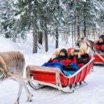Rovaniemi: Reindeer Sleigh Ride with Hot Drink and Cookies - Whats Included & Additional Options