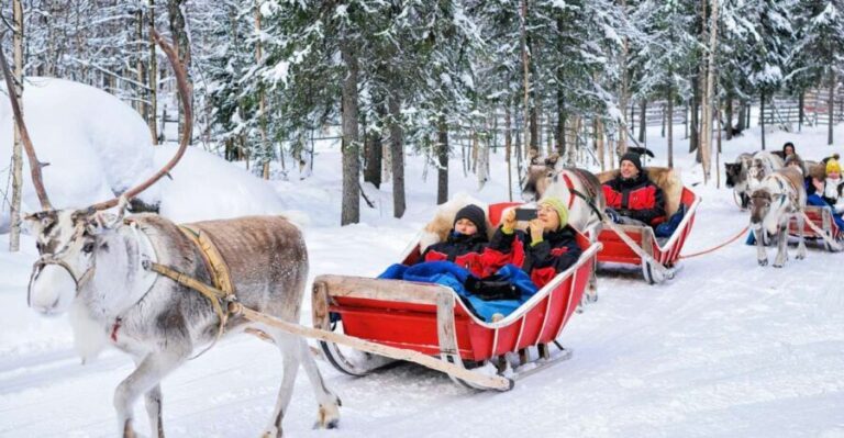 Rovaniemi: Reindeer Sleigh Ride with Hot Drink and Cookies - Whats Included & Additional Options