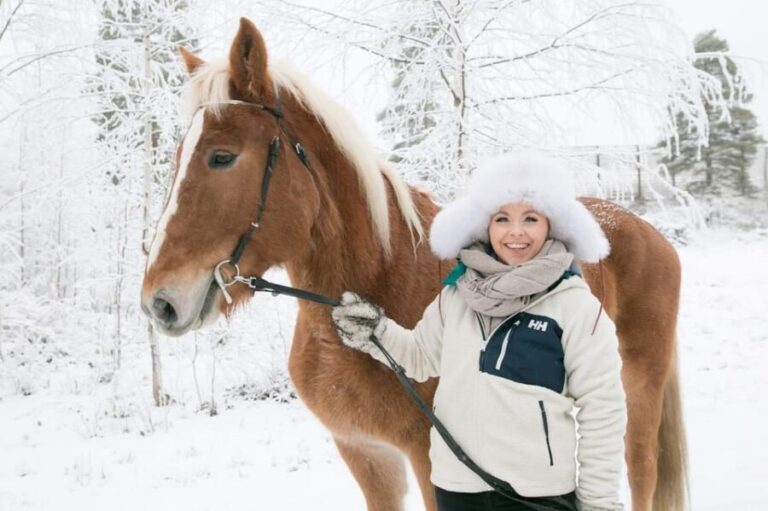 Rovaniemi: Riding Tour with Finnhorses at SCV - What You Can Expect from the Tour