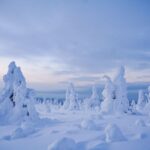 Rovaniemi: Riisitunturi National Park Day Trip with Lunch - The Journey Begins: From Rovaniemi to Wilderness