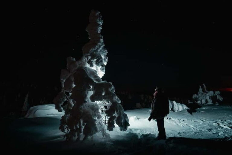 Rovaniemi: Riisitunturi National Park Night Photography Tour - Key Points