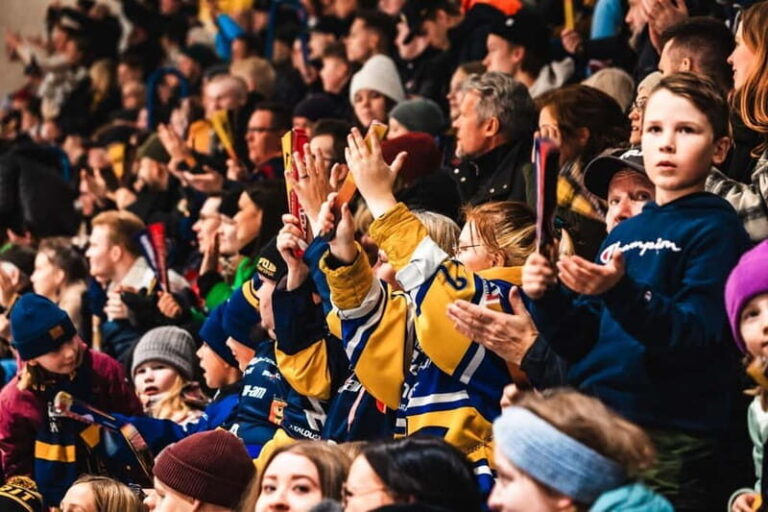Rovaniemi: RoKi Hockey Ice Hockey Tickets - Who Would Enjoy This Experience?
