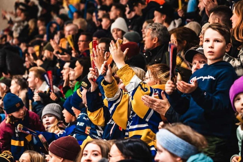 Rovaniemi: RoKi Hockey Ice Hockey Tickets - Who Would Enjoy This Experience?