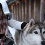 Rovaniemi: Santa Claus Village Tour Huskies & Reindeer Visit - The Sum Up