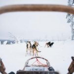 Rovaniemi: Self-Driving Husky Tour 7-kilometers - Who Should Consider This Tour?