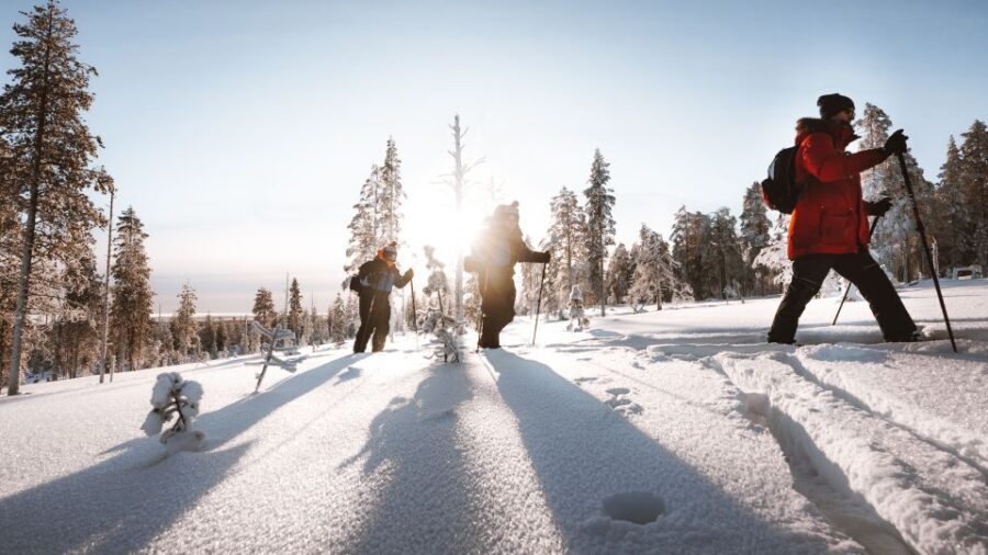 Rovaniemi: Ski Trekking Safari in Lapland - The Experience in Detail