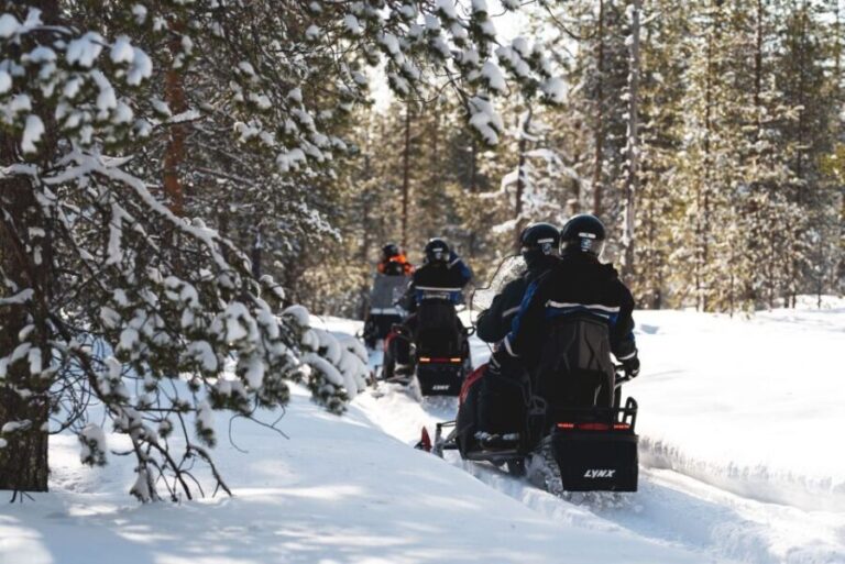 Rovaniemi: Snowmobile Adventure Tour for Adults Only - The Value for Money