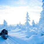Rovaniemi: Snowmobile Safari in the Arctic Circle - What You Need to Know Before You Go