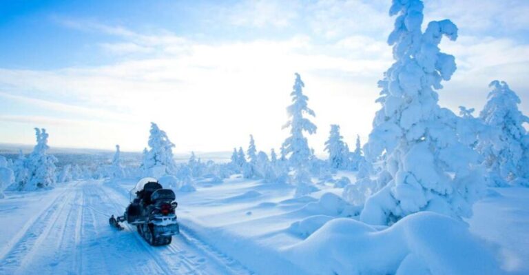 Rovaniemi: Snowmobile Safari in the Arctic Circle - What You Need to Know Before You Go