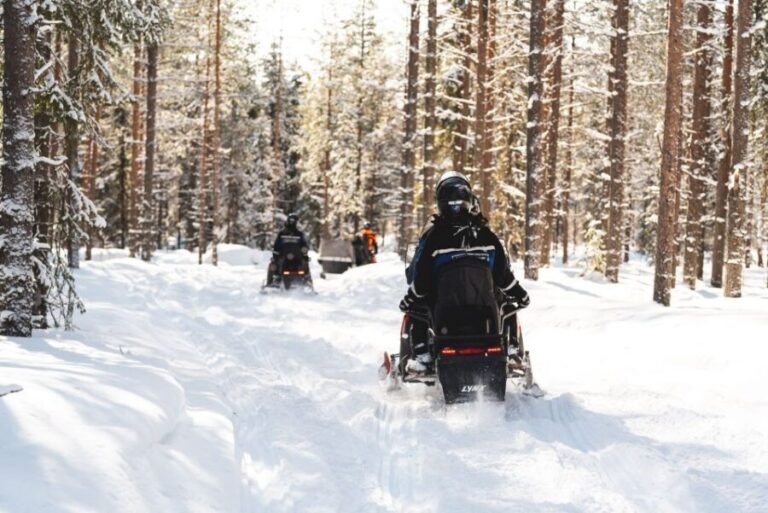 Rovaniemi: Snowmobile Safari into the Arctic Circle Forest - Authentic Insights from Guest Reviews