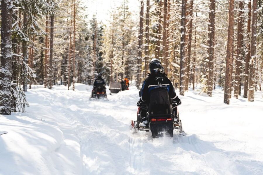 Rovaniemi: Snowmobile Safari into the Arctic Circle Forest - Authentic Insights from Guest Reviews