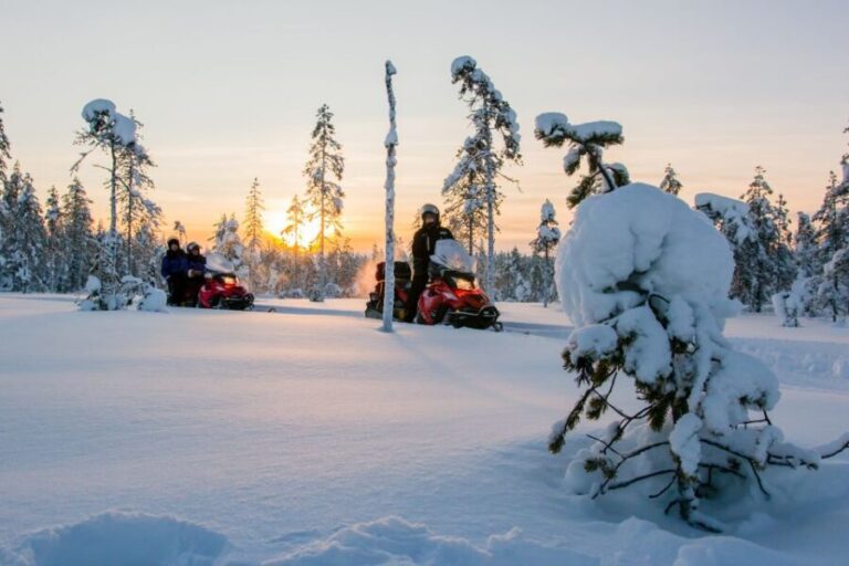 Rovaniemi: Snowmobile Safari to a Reindeer Farm - Why This Tour Is a Great Choice