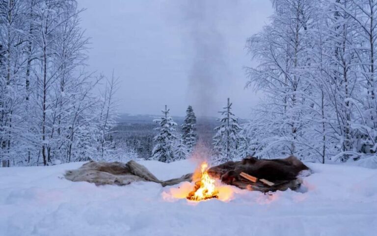 Rovaniemi: Snowmobile Sleigh Ride with Campfire Coffee - Why This Tour Works for Different Travelers