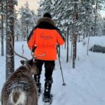 Rovaniemi: Snowshoe trip to meet reindeer - Meeting and Feeding Reindeer at Porovaara