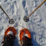 Rovaniemi: Snowshoeing Day Trip with Lunch - Pyhä-Luosto - Is it Worth the Price?