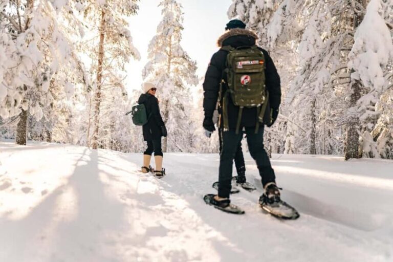 Rovaniemi: Snowshoeing in the Arctic Wilderness - The Value of the Tour