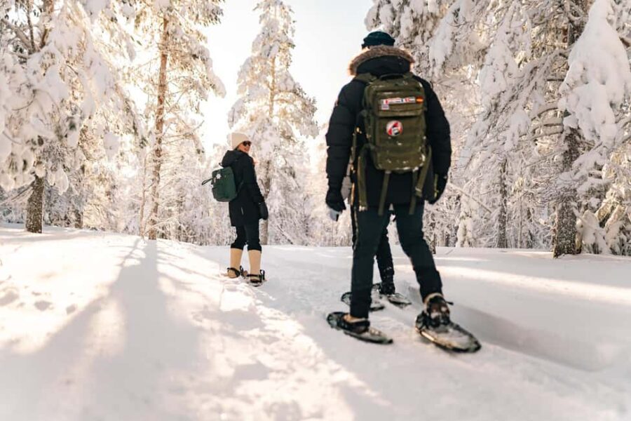Rovaniemi: Snowshoeing in the Arctic Wilderness - The Value of the Tour