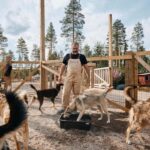 Rovaniemi: Summer Husky Kennel Tour and Cart Ride - Why This Tour Offers Great Value