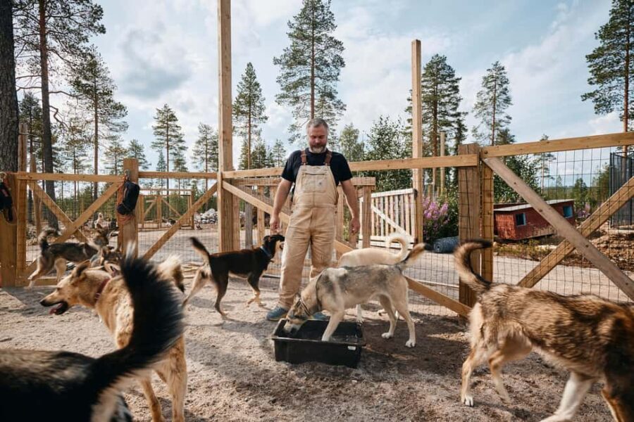 Rovaniemi: Summer Husky Kennel Tour and Cart Ride - Why This Tour Offers Great Value