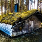 Rovaniemi: Summer Reindeer Farm Experience - A Detailed Breakdown of Your Reindeer Experience