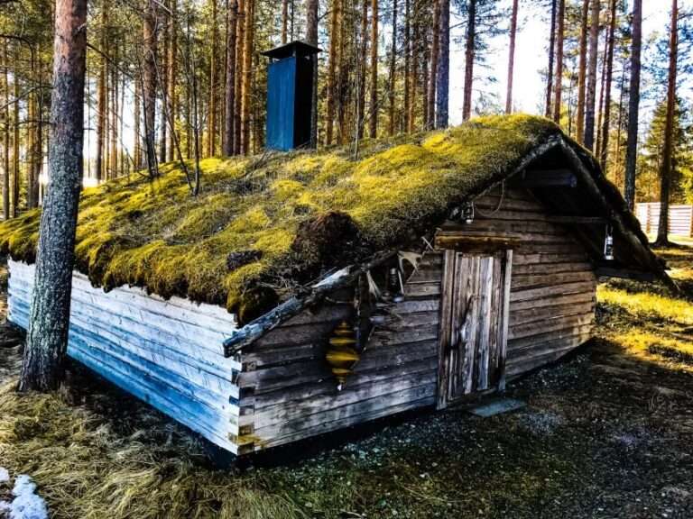 Rovaniemi: Summer Reindeer Farm Experience - A Detailed Breakdown of Your Reindeer Experience