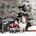 Rovaniemi: Traditional Finnhorse Sleigh Ride at SCV (3km) - The Itinerary Breakdown