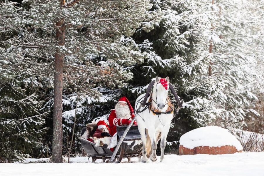 Rovaniemi: Traditional Finnhorse Sleigh Ride at SCV (3km) - The Itinerary Breakdown