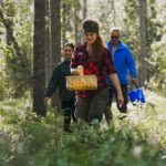 Rovaniemi : Trekking in the Heart of Nature - What You’ll Take Away